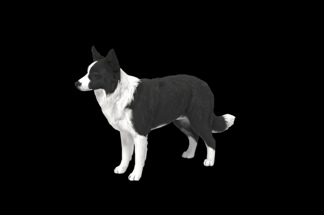 Milo rebuilt in 3D