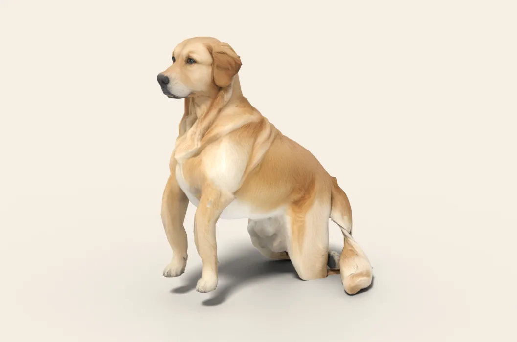 Sunny, a golden retriever, sitting as a 3D model made from photos