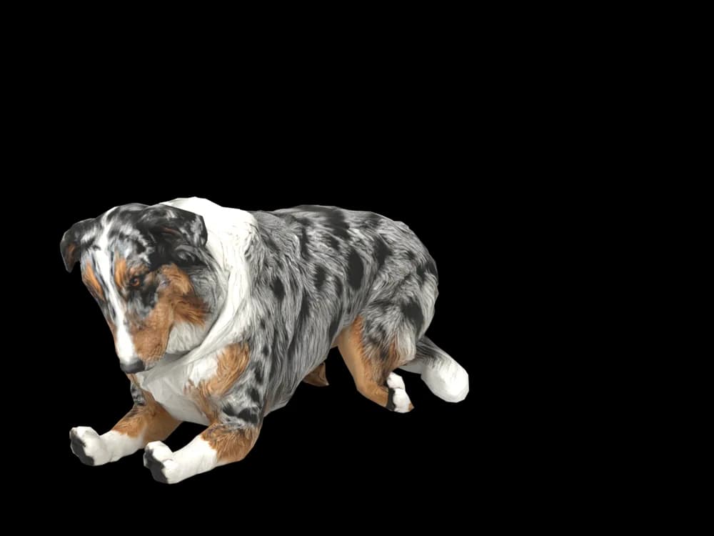 Our ready-made Australian Shepherd, sleeping, as a 3D desktop pet