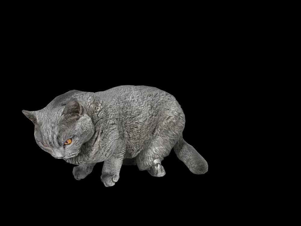 Our ready-made British Shorthair, sleeping, as a 3D desktop pet