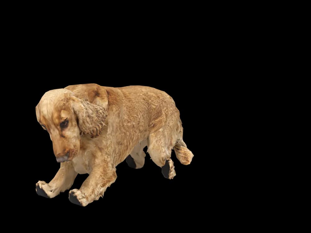 Our ready-made Cocker Spaniel, sleeping, as a 3D desktop pet