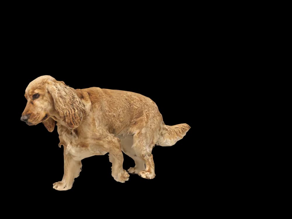 Our ready-made Cocker Spaniel as a 3D desktop pet