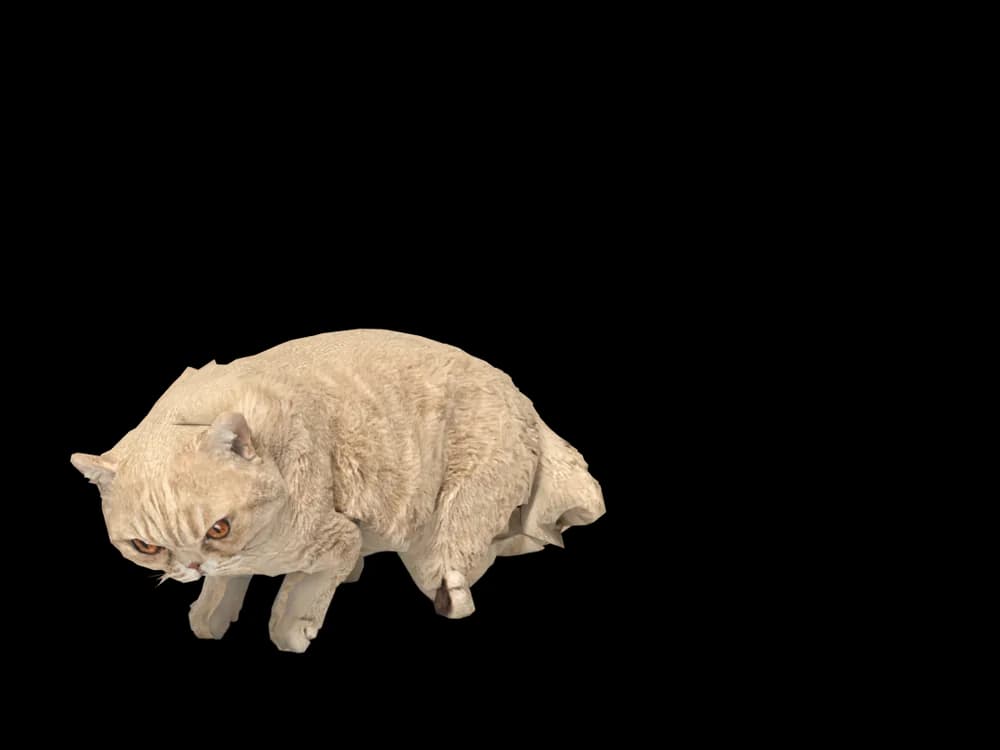 Our ready-made Exotic Shorthair, sleeping, as a 3D desktop pet