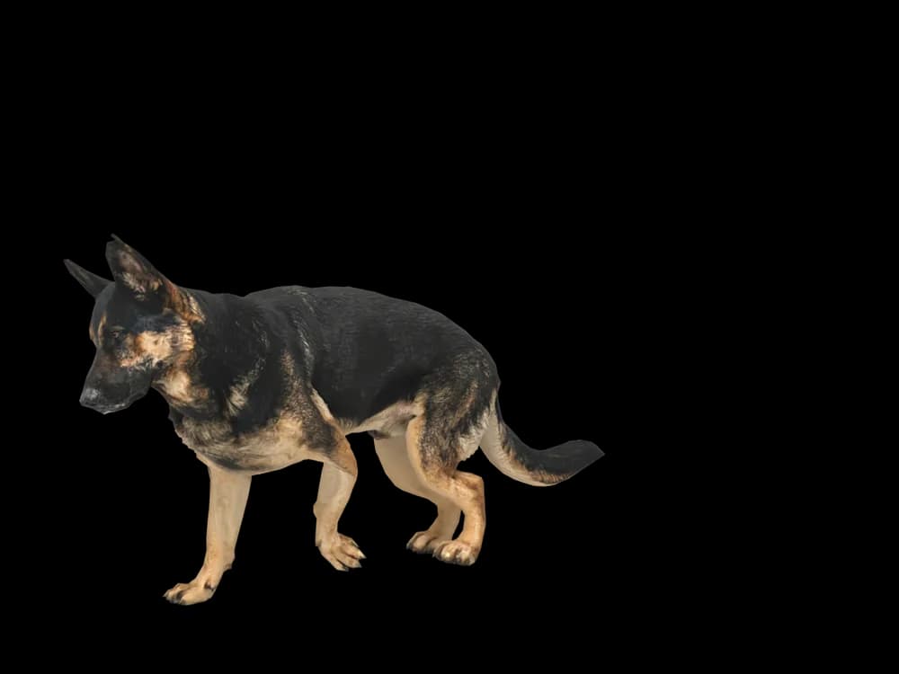Our ready-made German Shepherd as a 3D desktop pet