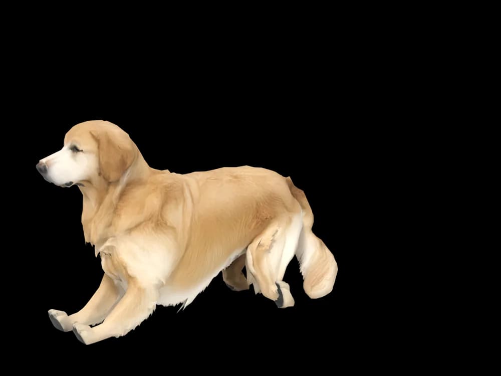 Our ready-made Golden Retriever, lying down, as a 3D desktop pet