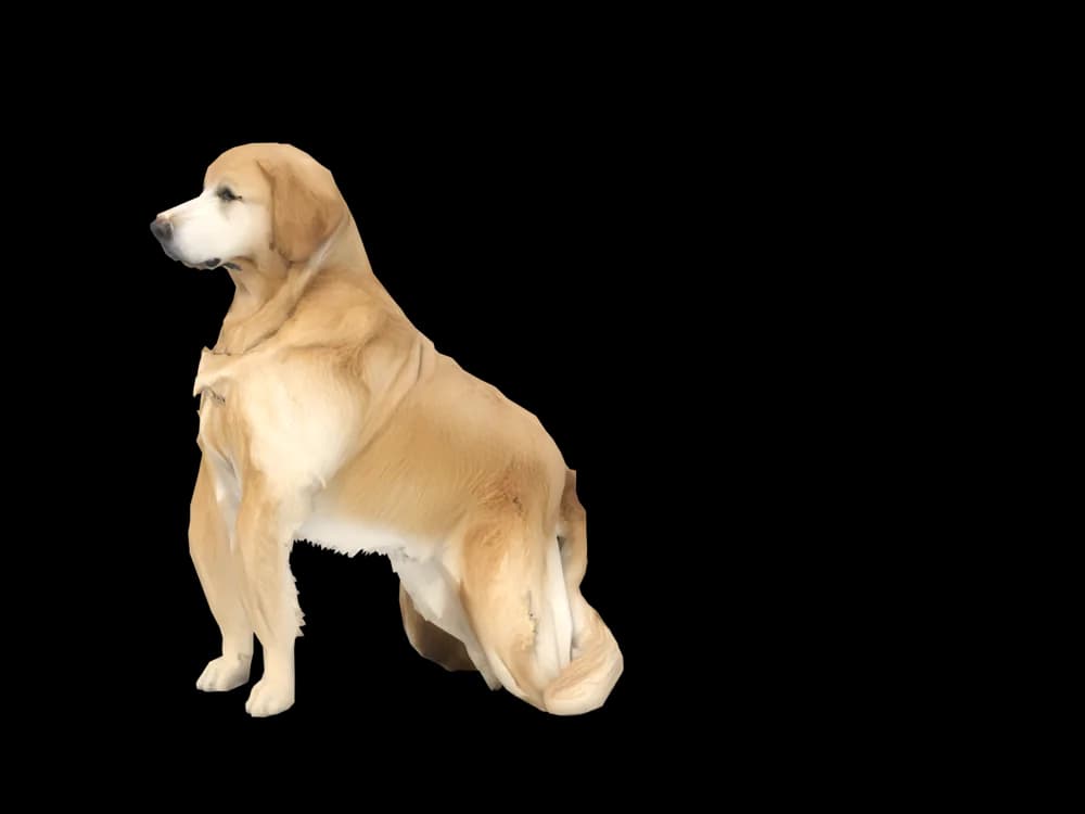 Our ready-made Golden Retriever, sitting, as a 3D desktop pet