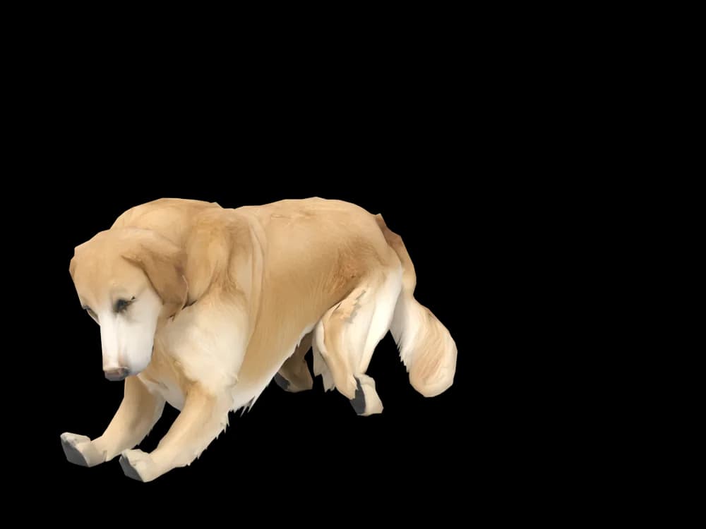 Our ready-made Golden Retriever, sleeping, as a 3D desktop pet