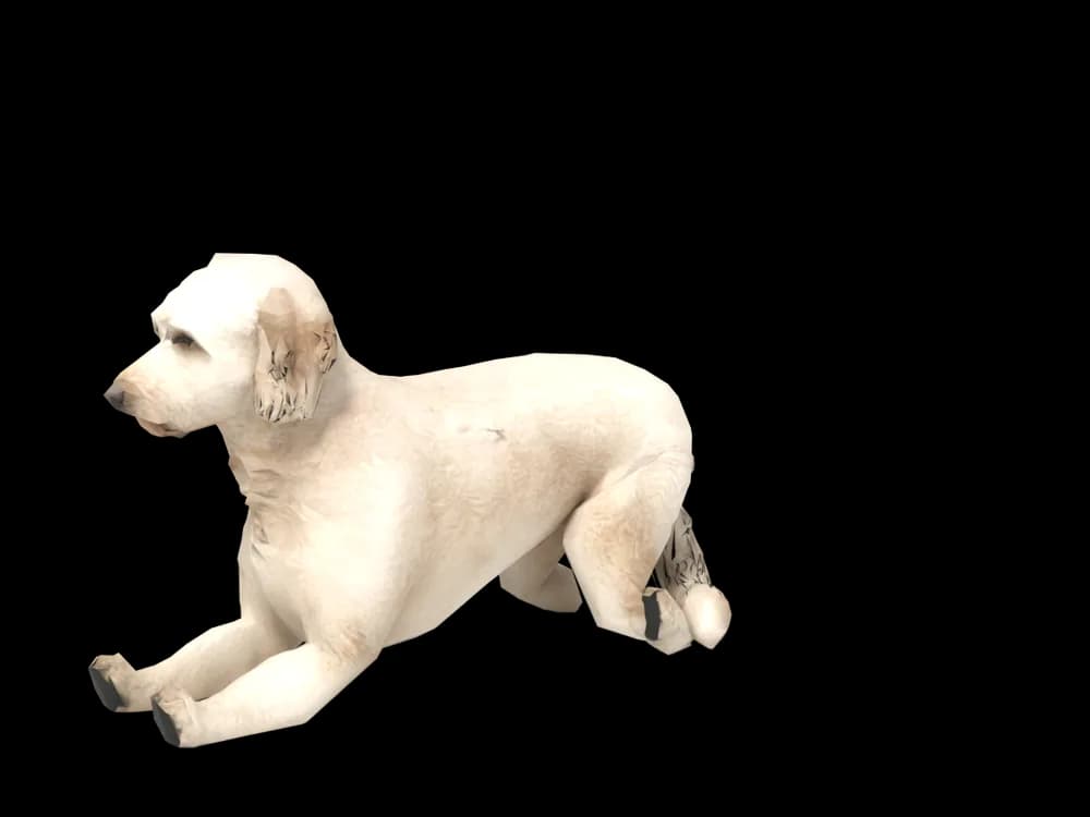 Our ready-made Goldendoodle, lying down, as a 3D desktop pet