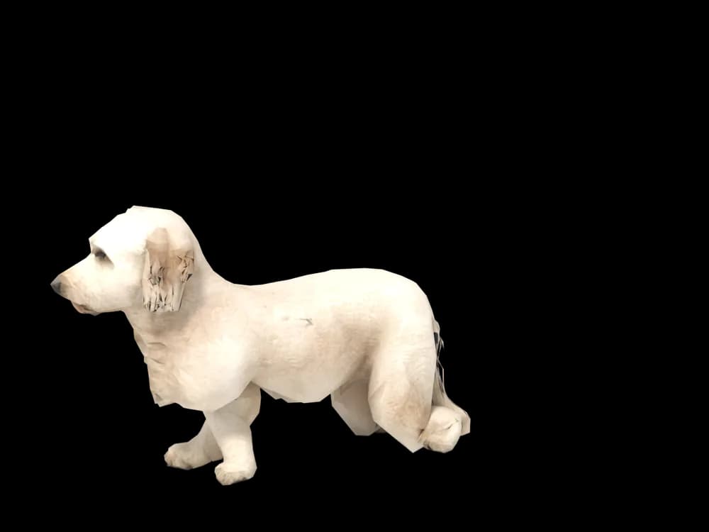 Our ready-made Goldendoodle, looking around, as a 3D desktop pet