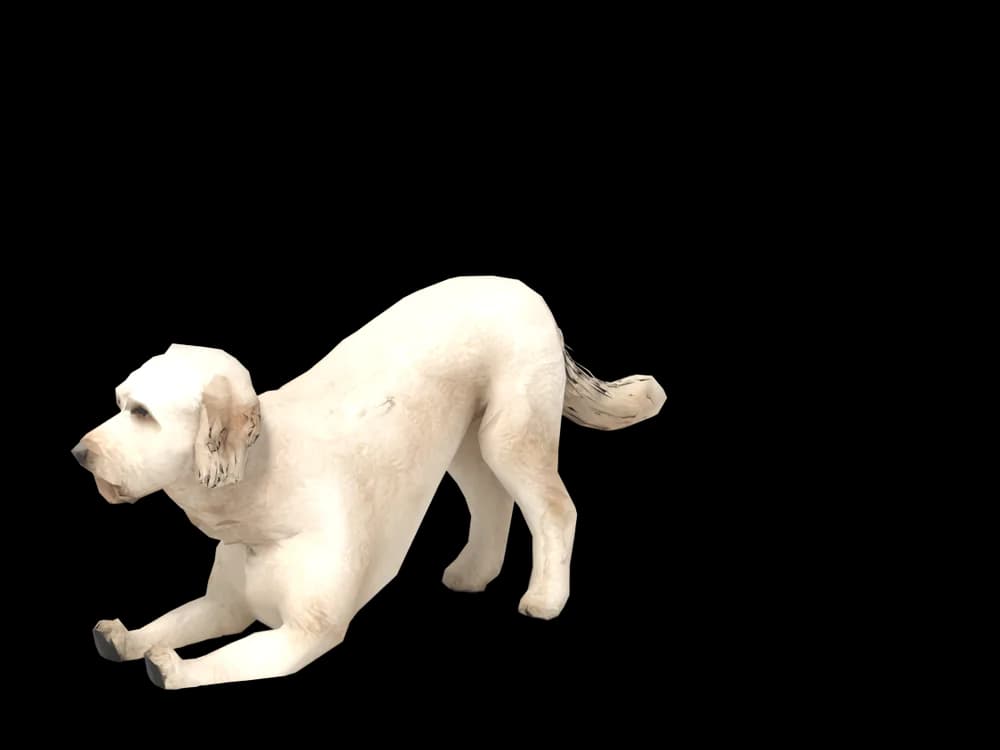 Our ready-made Goldendoodle, stretching, as a 3D desktop pet