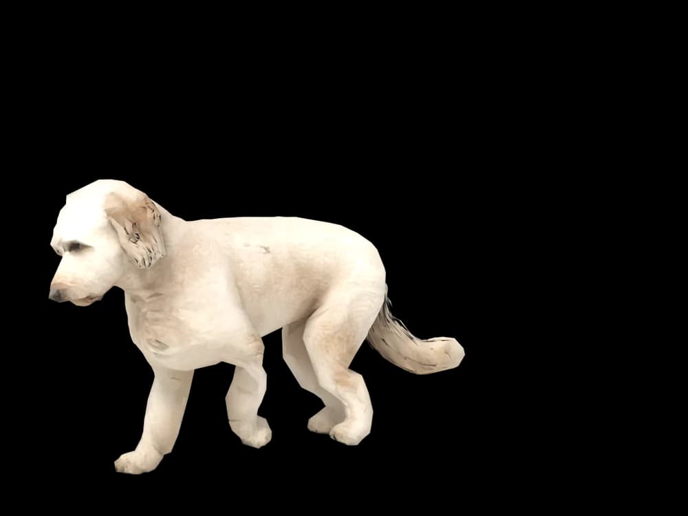 Our ready-made Goldendoodle as a 3D desktop pet