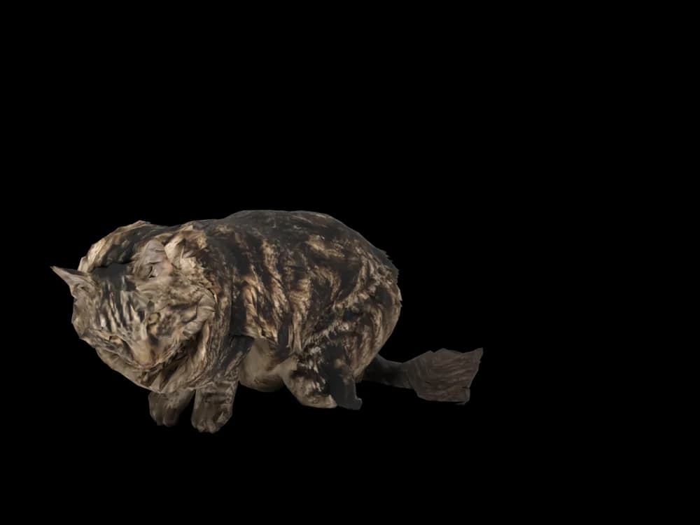 Our ready-made Maine Coon, sleeping, as a 3D desktop pet