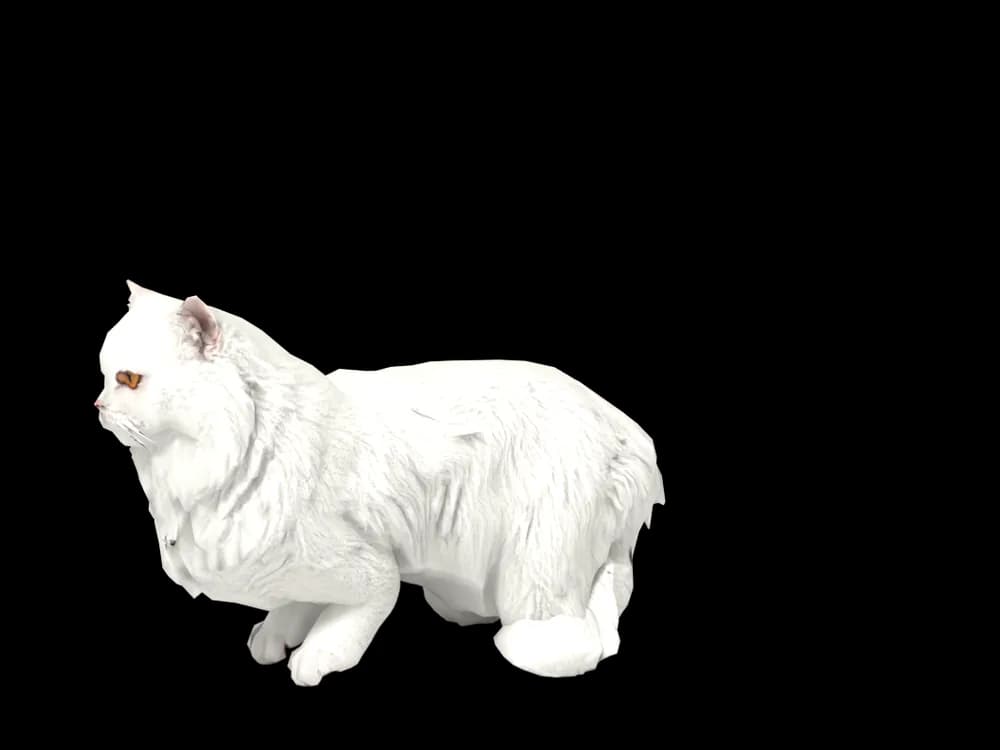 Our ready-made Persian, lying down, as a 3D desktop pet