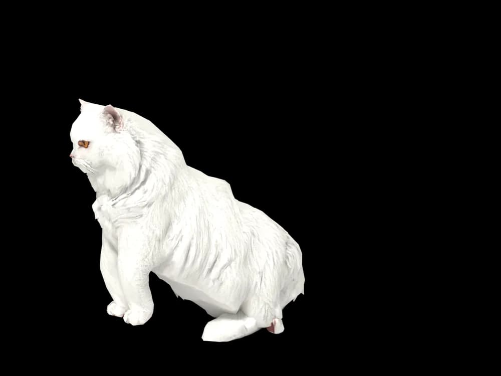 Our ready-made Persian, sitting, as a 3D desktop pet