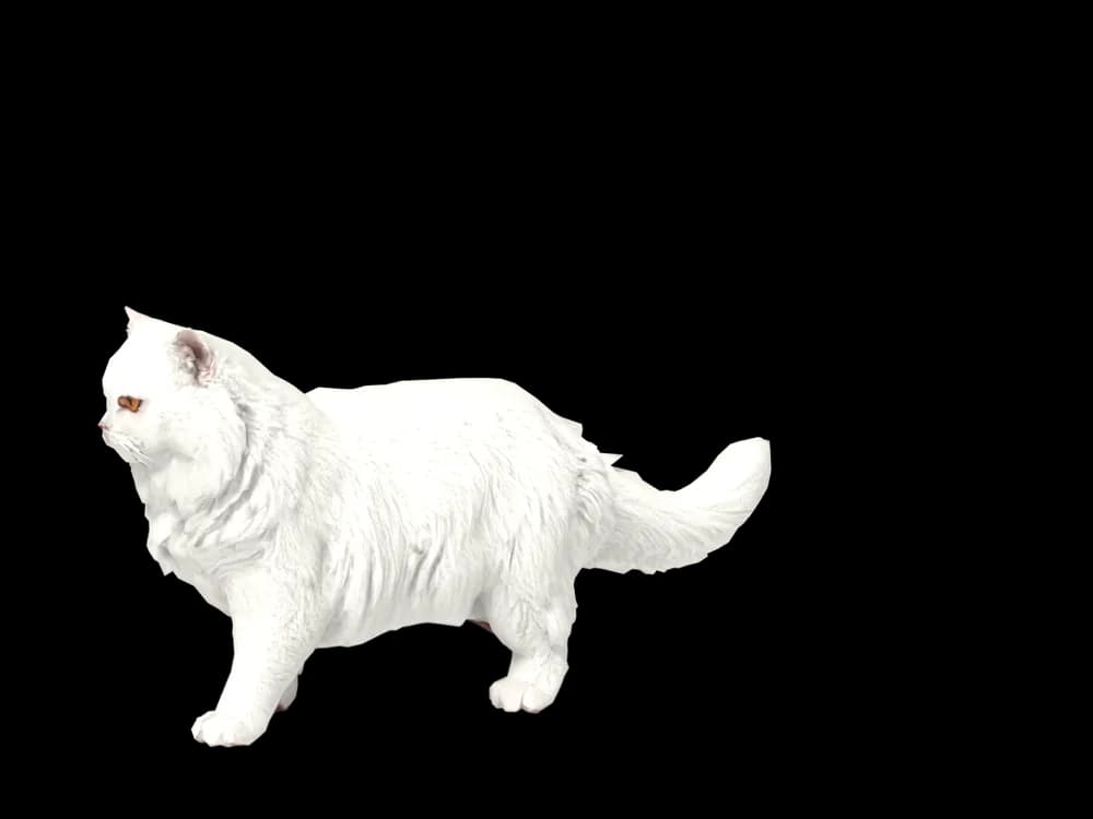 Our ready-made Persian as a 3D desktop pet