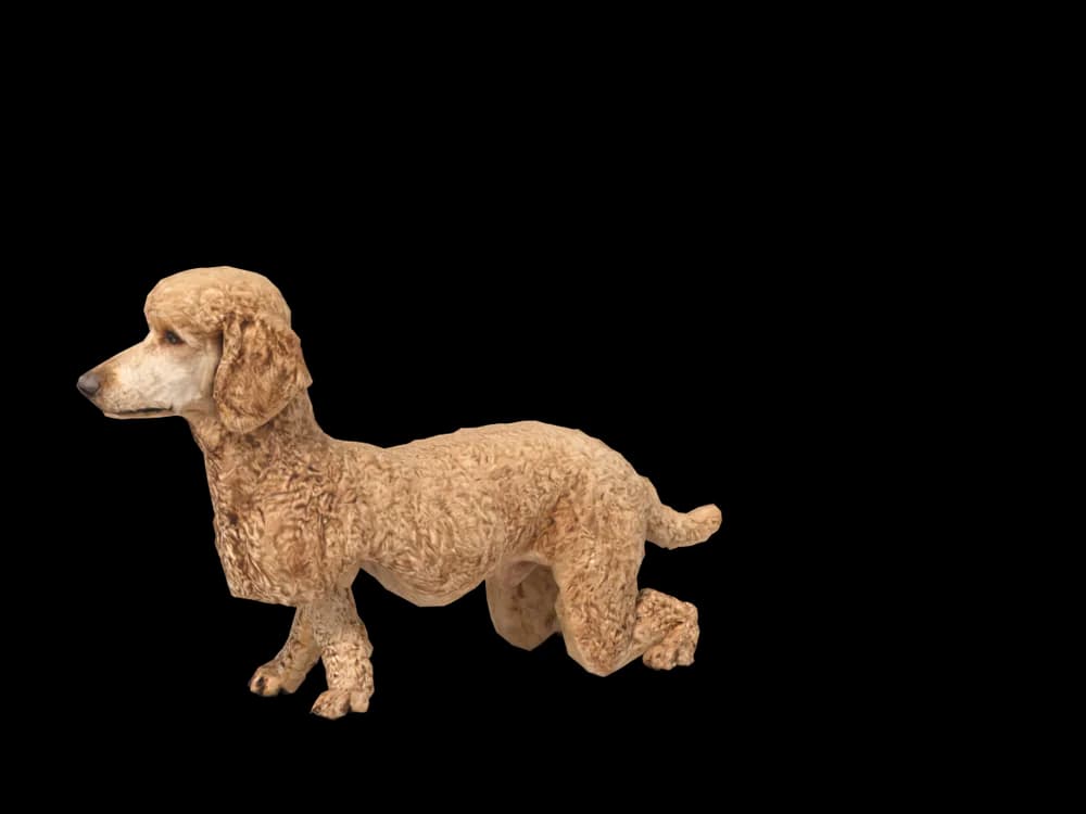 Our ready-made Poodle, looking around, as a 3D desktop pet