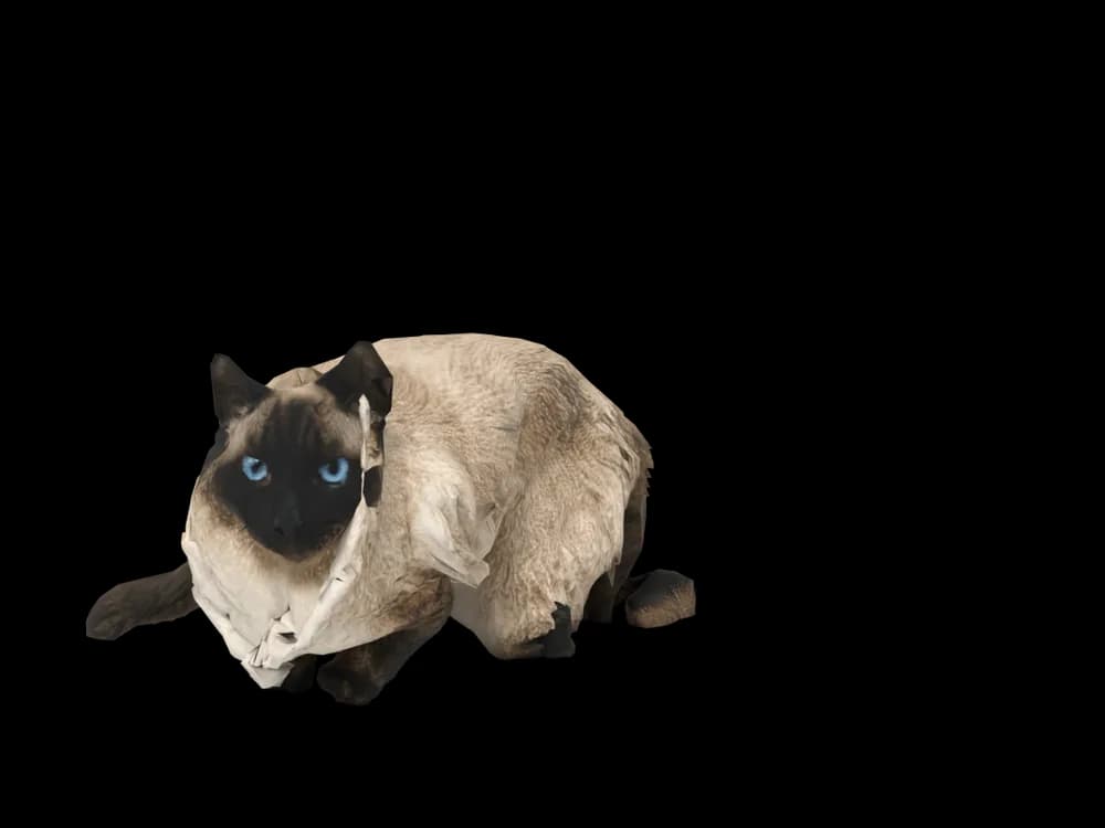 Our ready-made Ragdoll, sleeping, as a 3D desktop pet