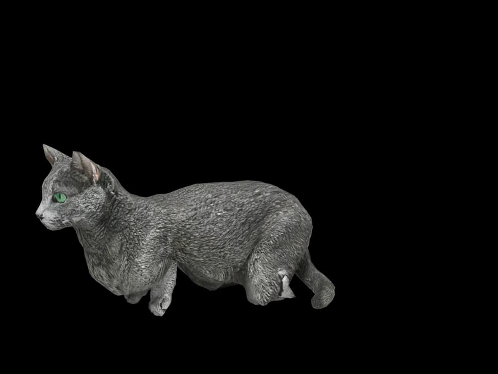 Our ready-made Russian Blue, lying down, as a 3D desktop pet