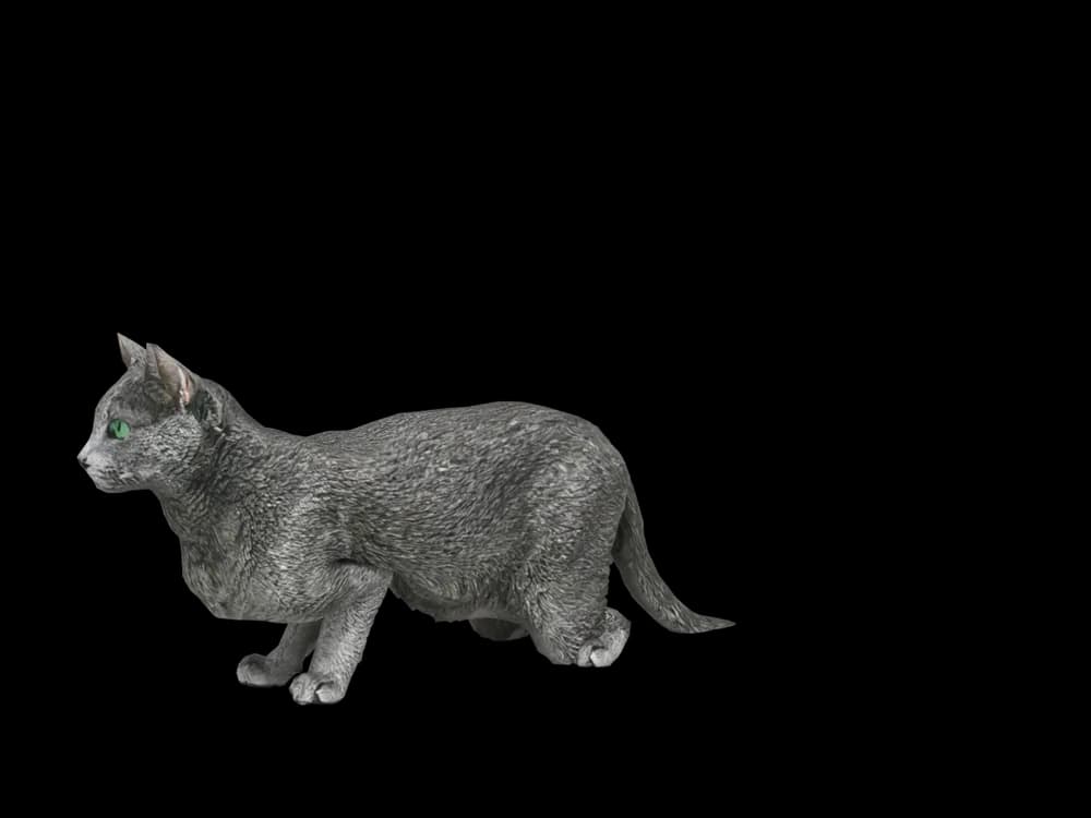 Our ready-made Russian Blue, looking around, as a 3D desktop pet