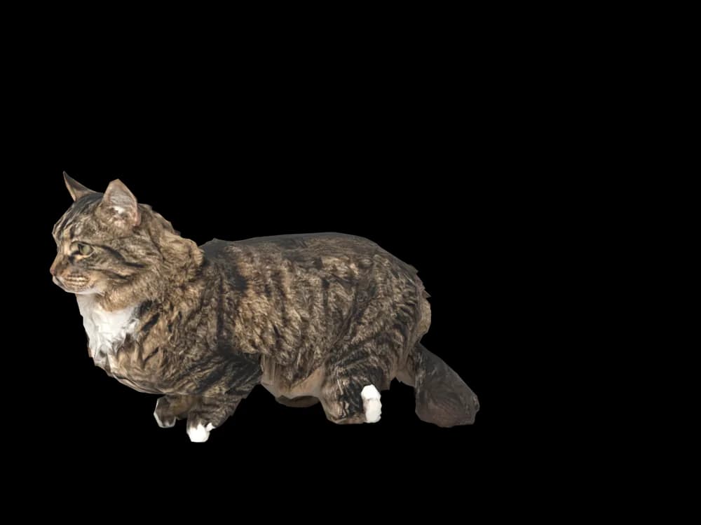 Our ready-made Siberian, lying down, as a 3D desktop pet