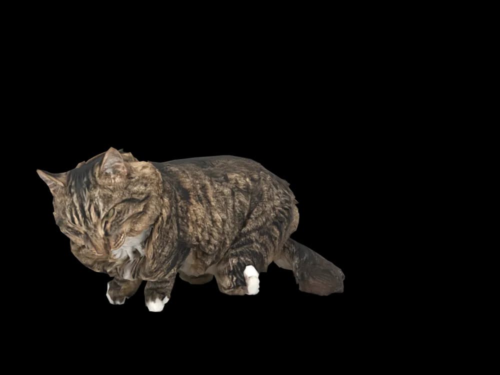 Our ready-made Siberian, sleeping, as a 3D desktop pet