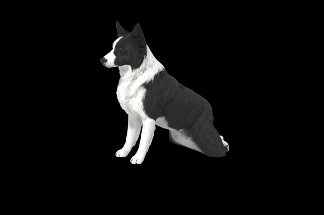 A 3D dog sitting, made from photos of a real pet