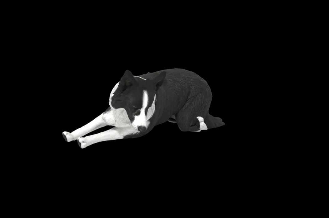 A 3D dog asleep on a Mac desktop